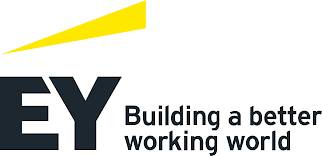 Ernst and Young Numerix Partner